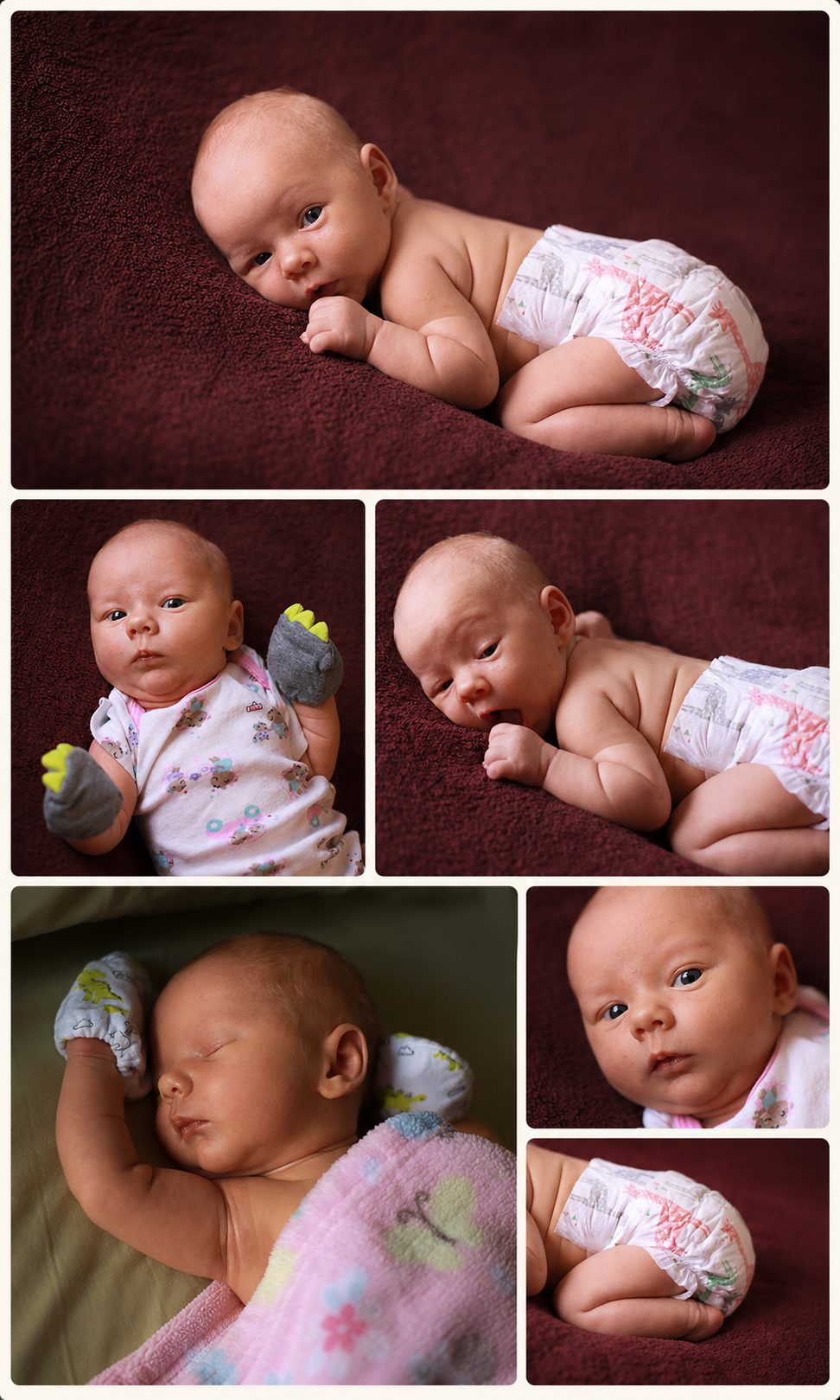 Collage of a newborn on a deep burgundy blanket, various close-up poses